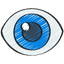 eye